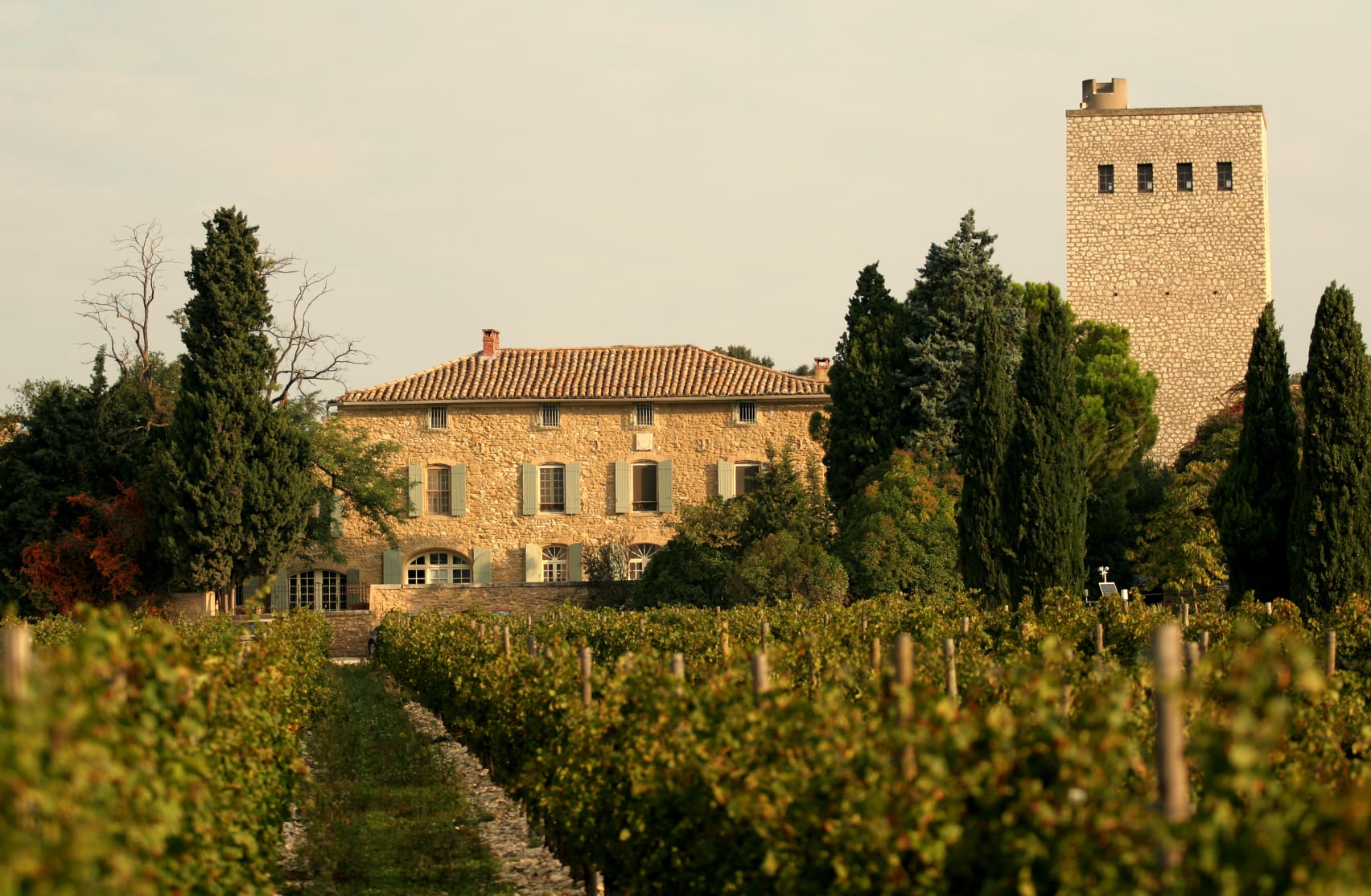 Vineyards near Châteauneuf-du-Pape