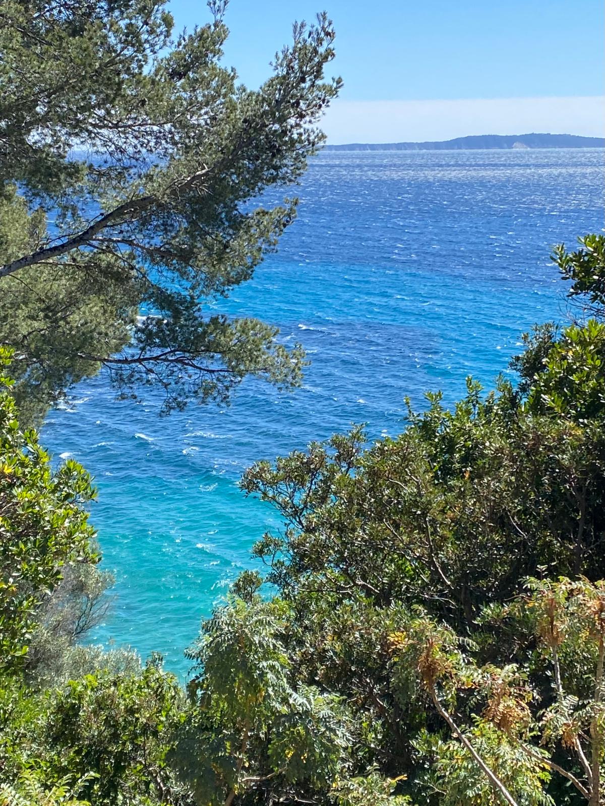 Mediterranean Coast
