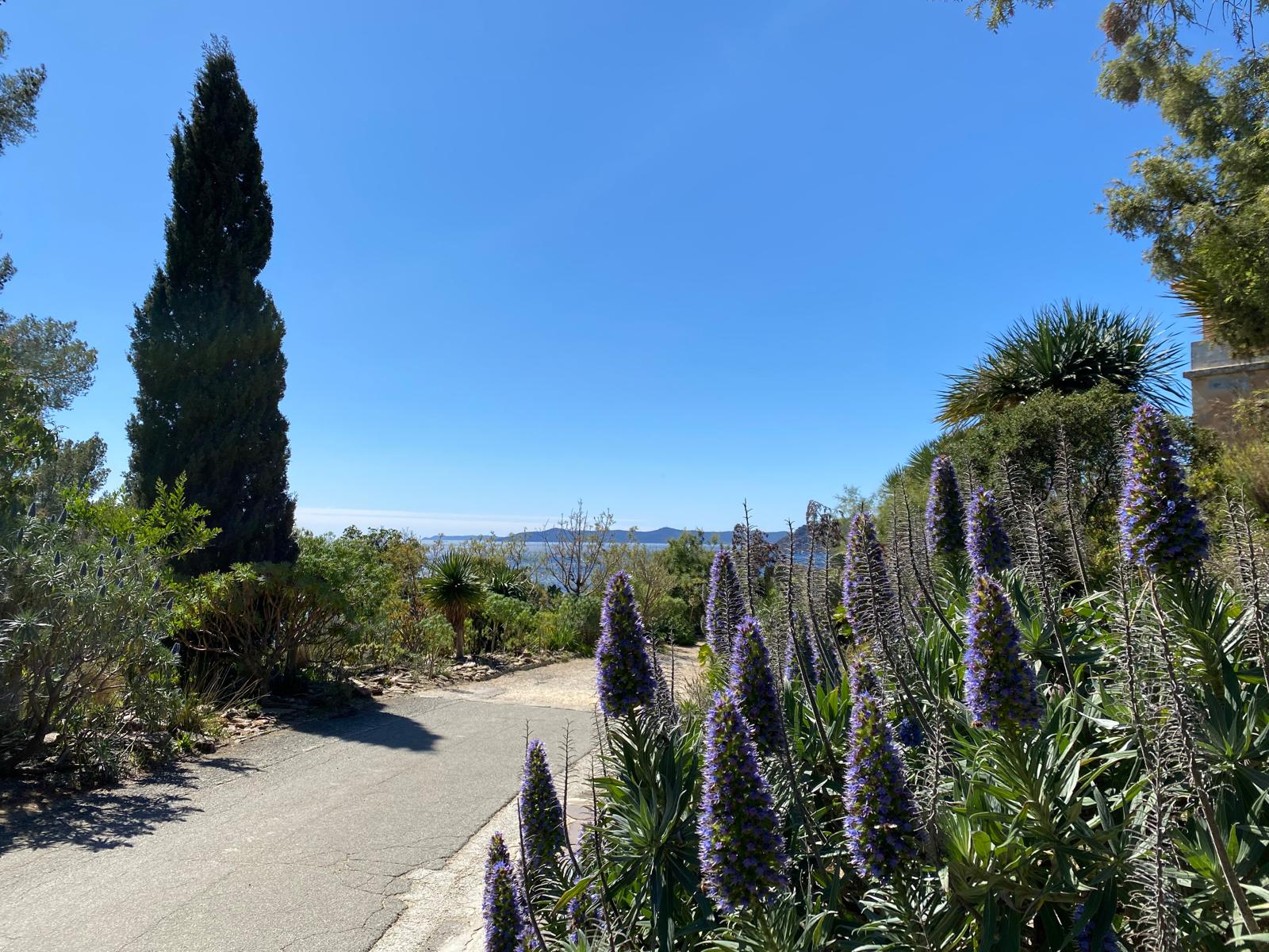Côte d'Azur Views