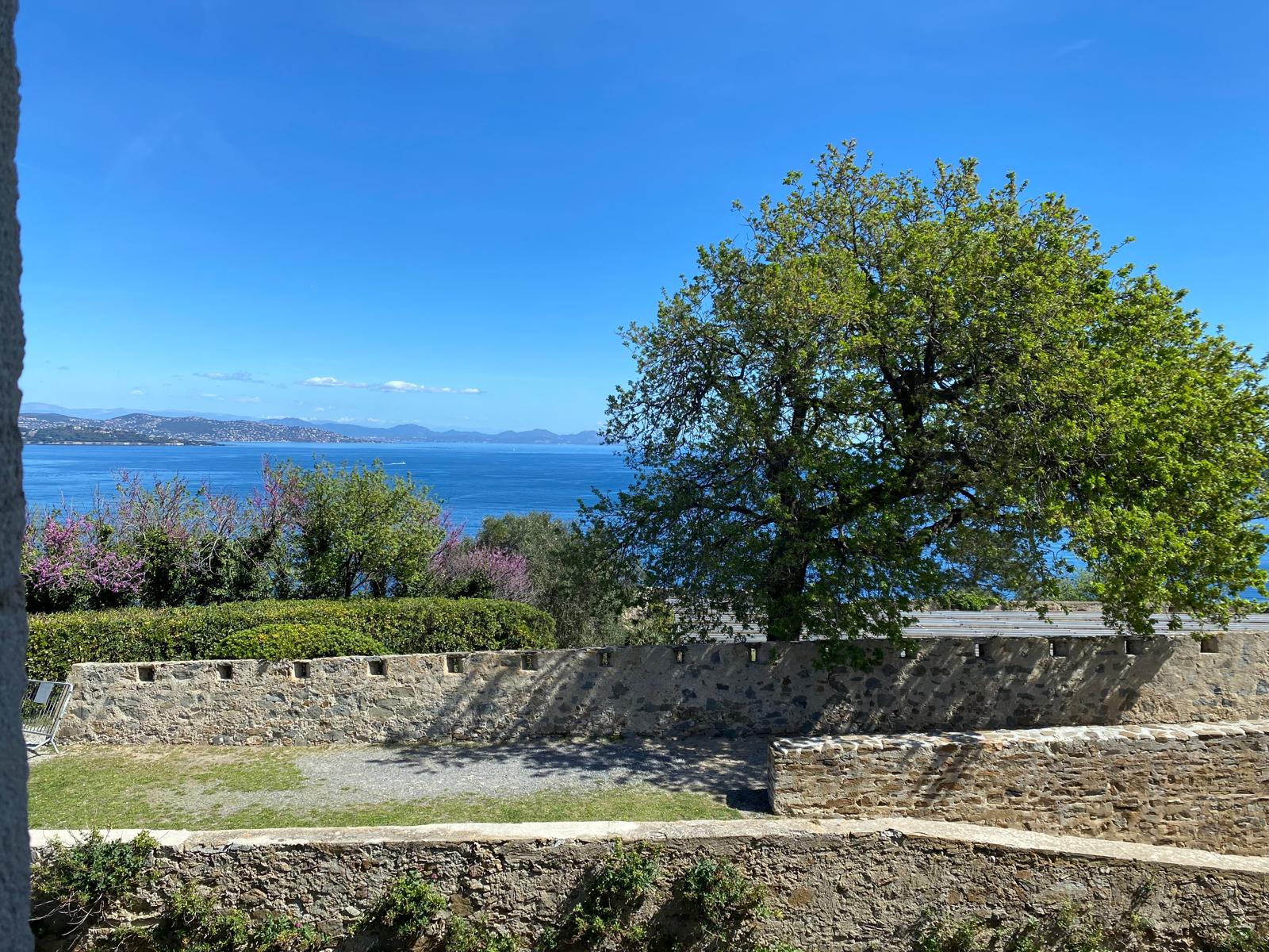 Mediterranean Views