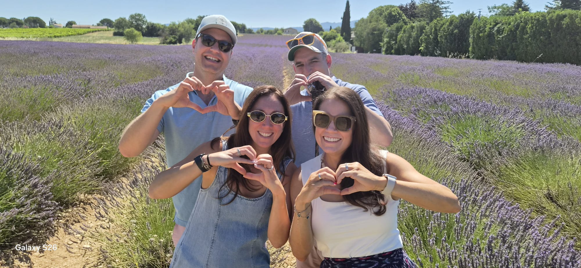 Lavender fields on the Valensole Plateau