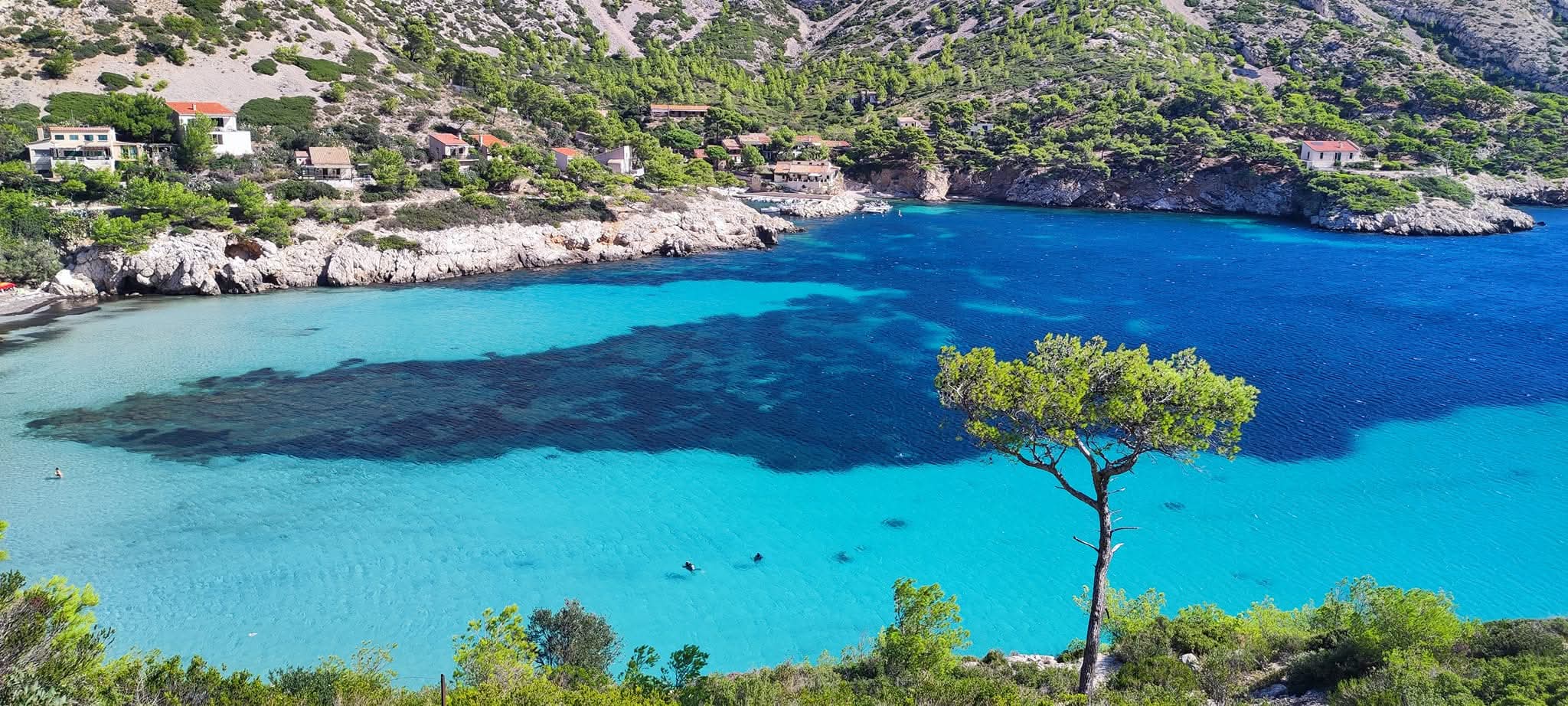 Le Castellet - Cassis Wine Tour