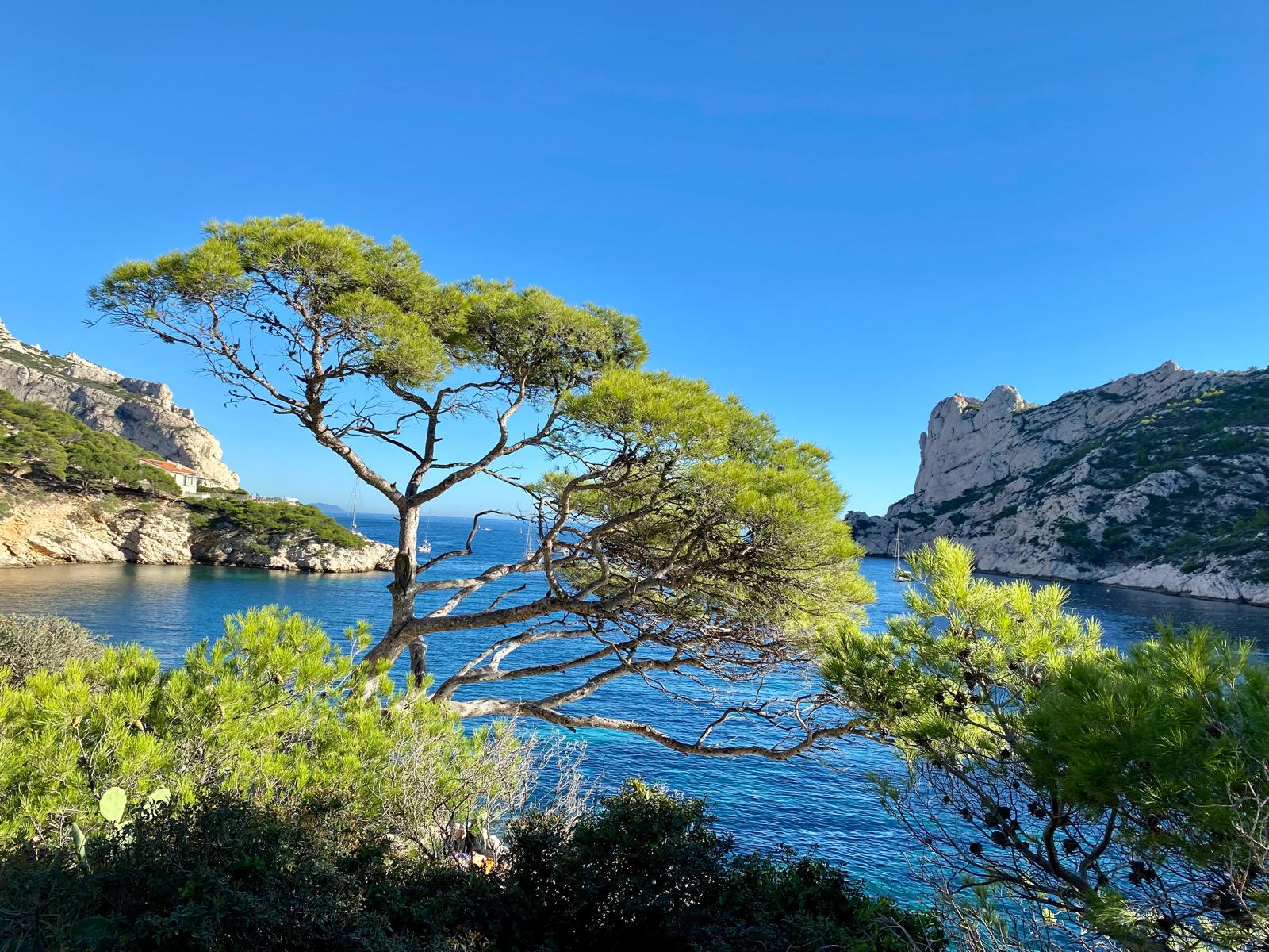 Cassis Mediterranean landscape