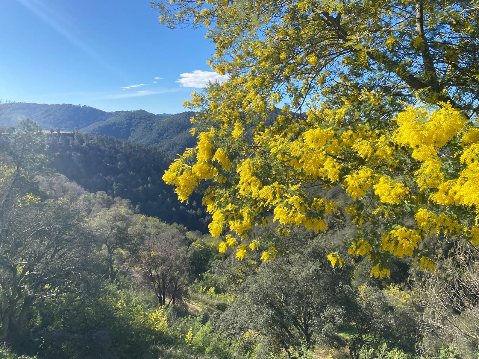 Luberon panoramic view